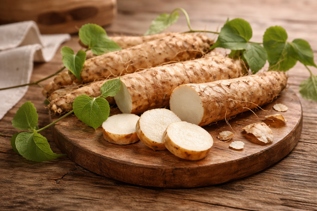 Wild Yam Lotion: A Traditional Botanical With a Long History of Use